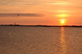 Fewo Kastanienhof - 2