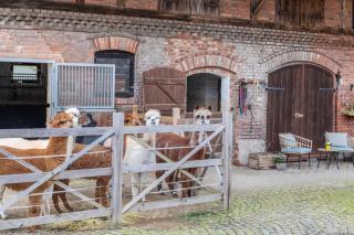 Ferienwohnung Haseltal - 8