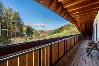 Schätzlehof - Winden im Elztal - 7