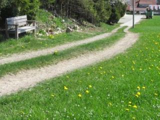 Ferienwohnungen Kolb - 9