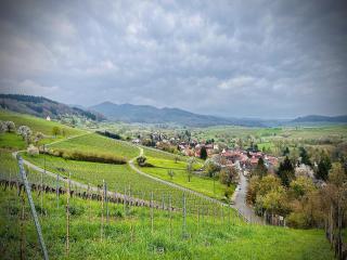 Ferienwohnung Gut Edel - 6