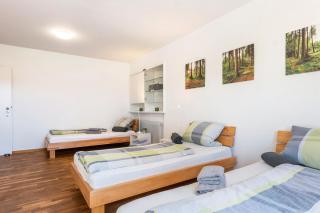 Pension am Hohberghof Dielheim - 9