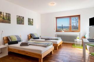 Pension am Hohberghof Dielheim - 8