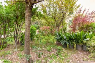 Loft vicino a Forte dei Marmi - 6