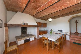 Santa Lina - Lavanda - 6