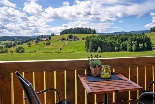 Haldenmichelhof Ferienwohnungen - 7