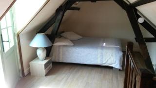 Aux chants des oiseaux - 9