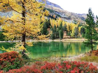 Alpenchalets Weissenbacher-Fuchsbau - 9