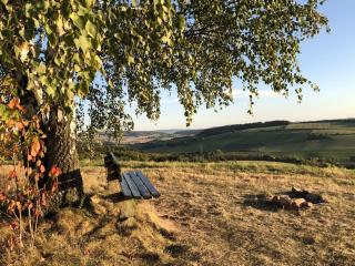 Haus-am-Harz Bad Gandersheim - 7