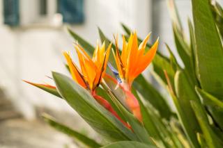 Petite maison-studio Ba014s - 8