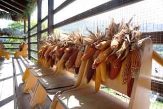 Agritur La Gemma - 2