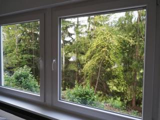 Am Eschachwäldle - 9