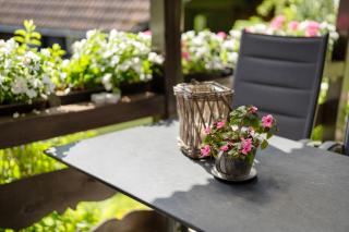 Schwarzwald Buchenhof - 6