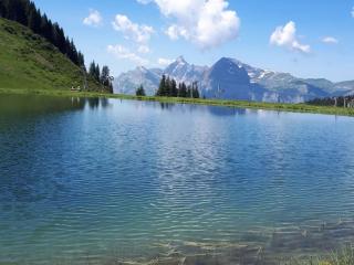 Superbe Duplex- Résidence Alpine - 8