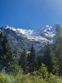 Superbe Duplex- Résidence Alpine - 5