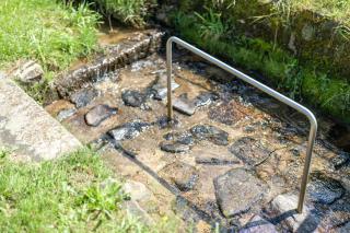 Ferienhaus Vollmer - 9