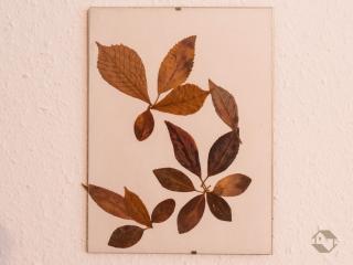 Enri Theater und Pension Bruderhaus - 4