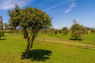 Vento di Maremma - 7