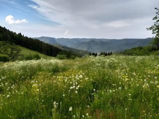 Klausenhof Schonach - 6