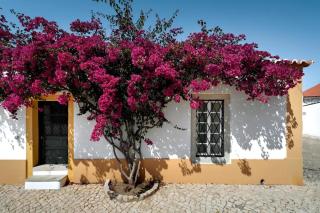 Liberal Wing Villa - 9