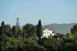 Liberal Wing Villa - 8