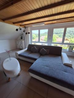 Pure Vista Hank Schwarzwaldblick - 5