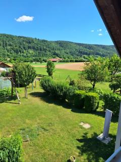 Pure Vista Hank Schwarzwaldblick - 3