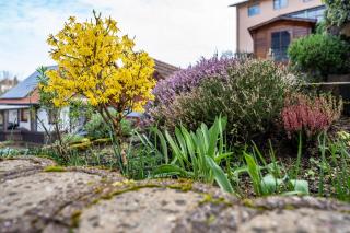 Ferienwohnung Brigitte - 5