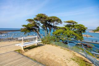 Appartement spacieux face mer - 5