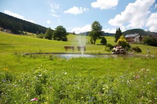 Landhaus Mühlengrund - 5
