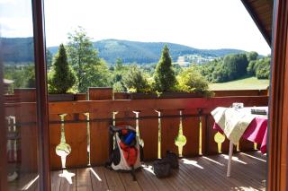 Landhaus Mühlengrund - 4