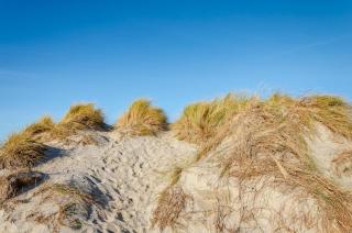 Ferienhaus Inselkate - 8