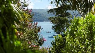 Stonehouse Garden Apartment - 9