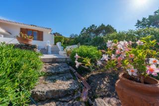 Unicorno Portobello - 6