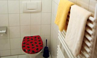 Sommerhof Rauber - 6