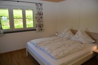 Haus Schwärzler - 2