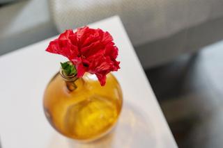 El Jardín de las Pléyades - 2