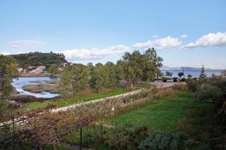 Dolphin Studio 2 - 6