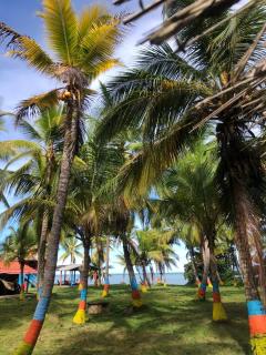 Hotel EL PALMAR TOURS - 5