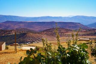 Gite les pommiers de tizi - 1