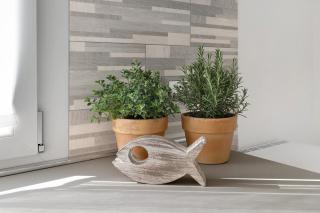 Baita Marina - Libeccio 30m mare - 5