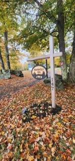 Mountain Blue Vista - Luxury retreat near Ski resorts with Pond, Firepit and Hot Tub - 5