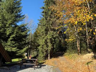 apartmány V Lese - 7