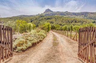 Finca L'hort Nou - 9