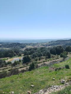 Rosa de los Vientos - 5