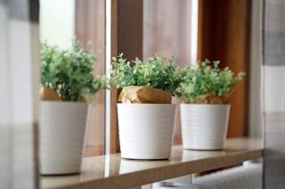 Apartment Schwarzwald - 2