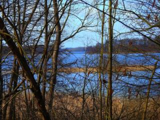 Haus Holli Zarrentin am Schaalsee - 7