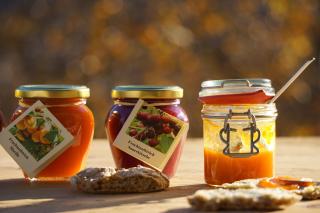 Waalhof Ferienwohnung Mohnblume - Silandro - 9