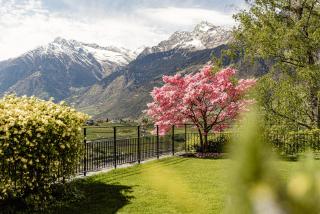 Schenna Chalet - Chalet Penthouse - Scena - 9