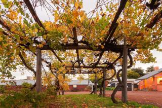 Kingsley Lake House 500Mbps Lakeside Wineries - 8